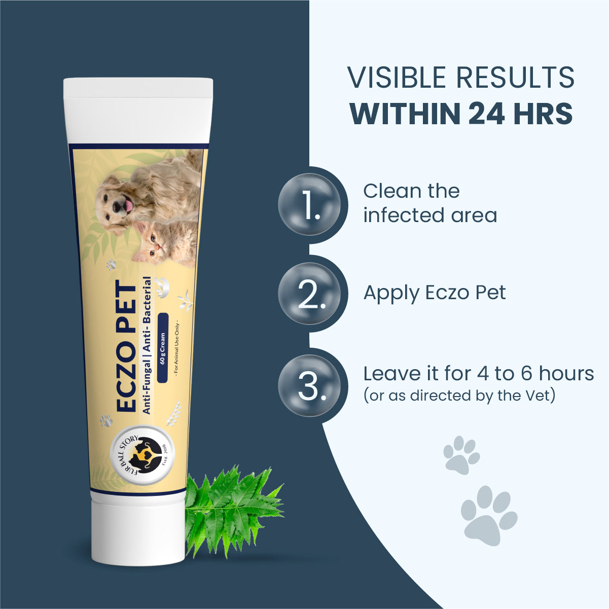 Eczo Pet Cream for Skin Infections: Visible Results in 12 Hours