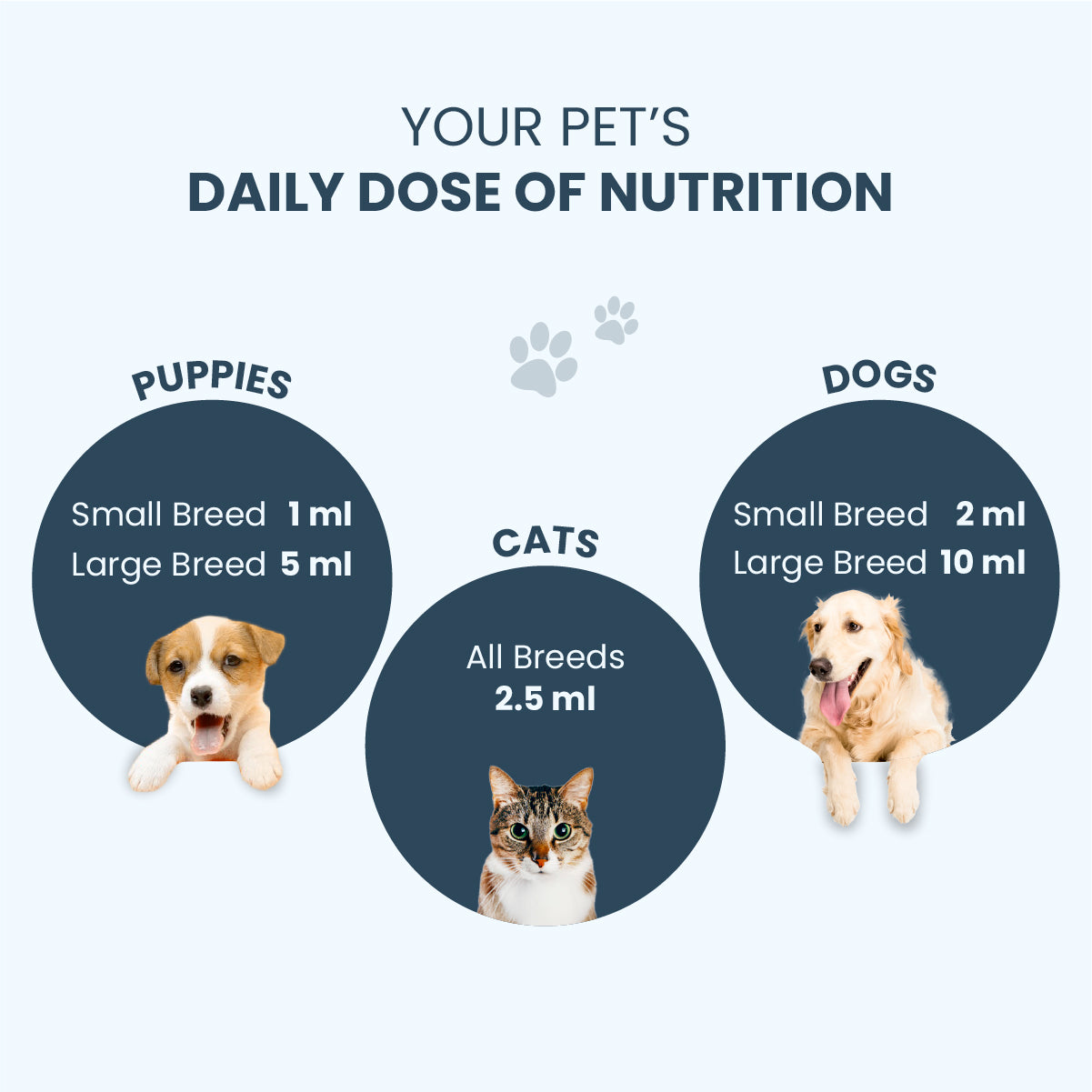Supertonic Syrup: Ensures Head to Tail Wellness of Dogs & Cats - 200ml