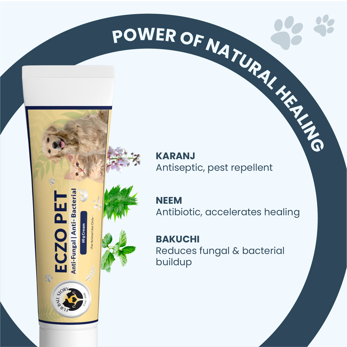 Eczo Pet Cream for Skin Infections: Visible Results in 12 Hours