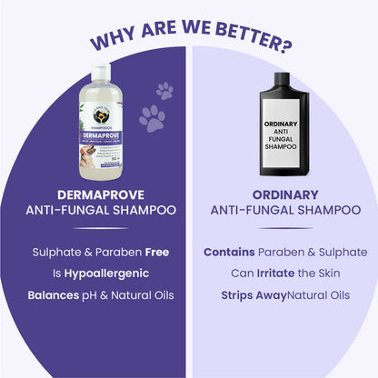 Side-by-side comparison showing Dermaprove shampoo is sulphate-free, paraben-free, and hypoallergenic, unlike ordinary anti-fungal shampoos.