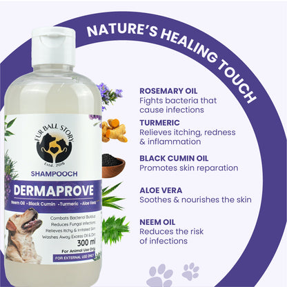 Product graphic highlighting the natural ingredients of Dermaprove shampoo, including rosemary oil, turmeric, black cumin oil, aloe vera, and neem oil.