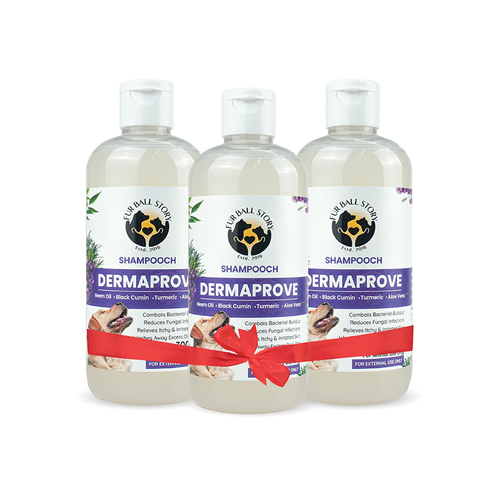 Dermaprove Shampooch: Antifungal Dog Shampoo - 300ml (BUY 2 GET 1 FREE)
