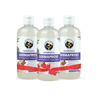 Dermaprove Shampooch: Antifungal Dog Shampoo - 300ml (BUY 2 GET 1 FREE)