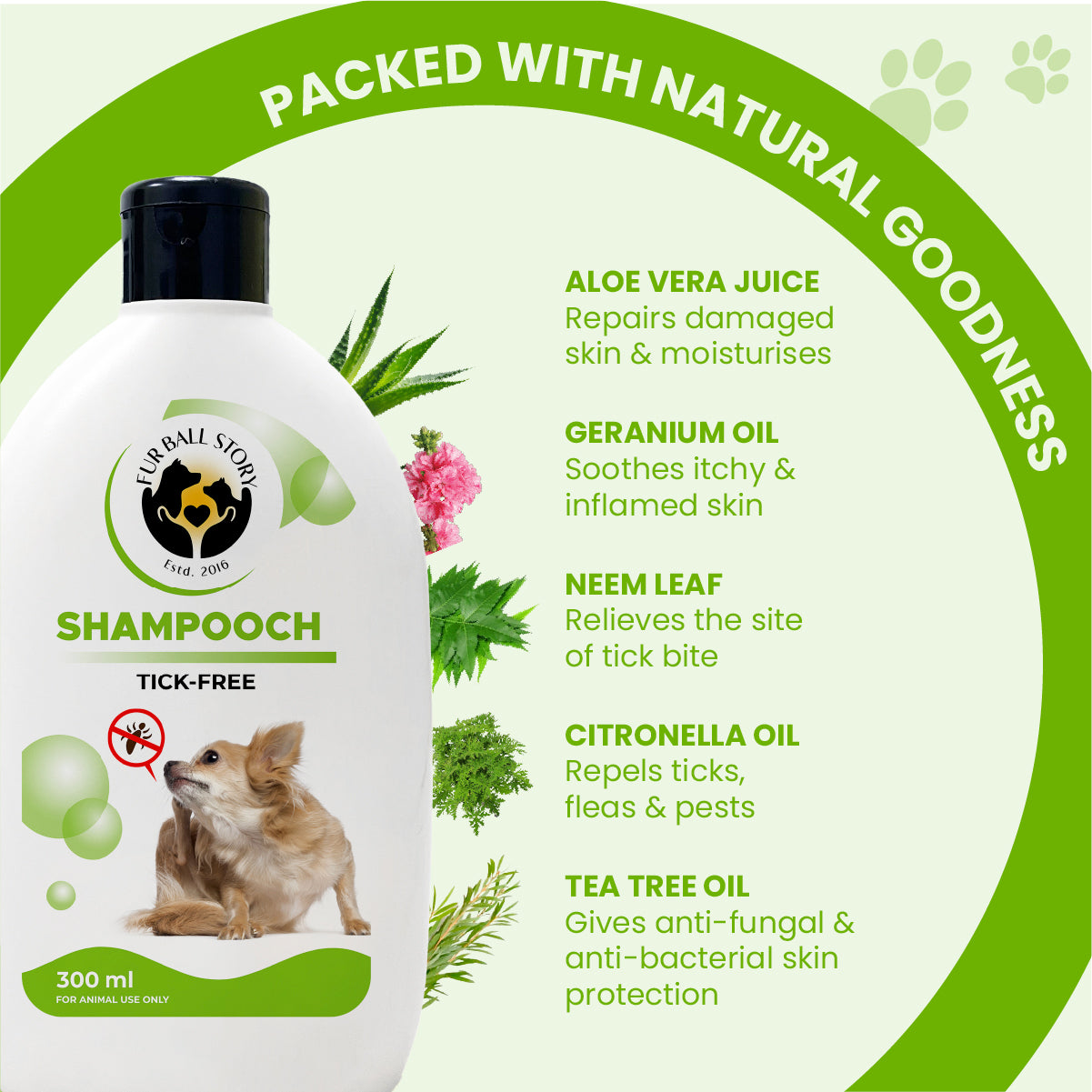 Graphic listing natural ingredients of Shampooch: aloe vera juice, geranium oil, neem leaf, citronella oil, and tea tree oil with their skin-healing benefits.