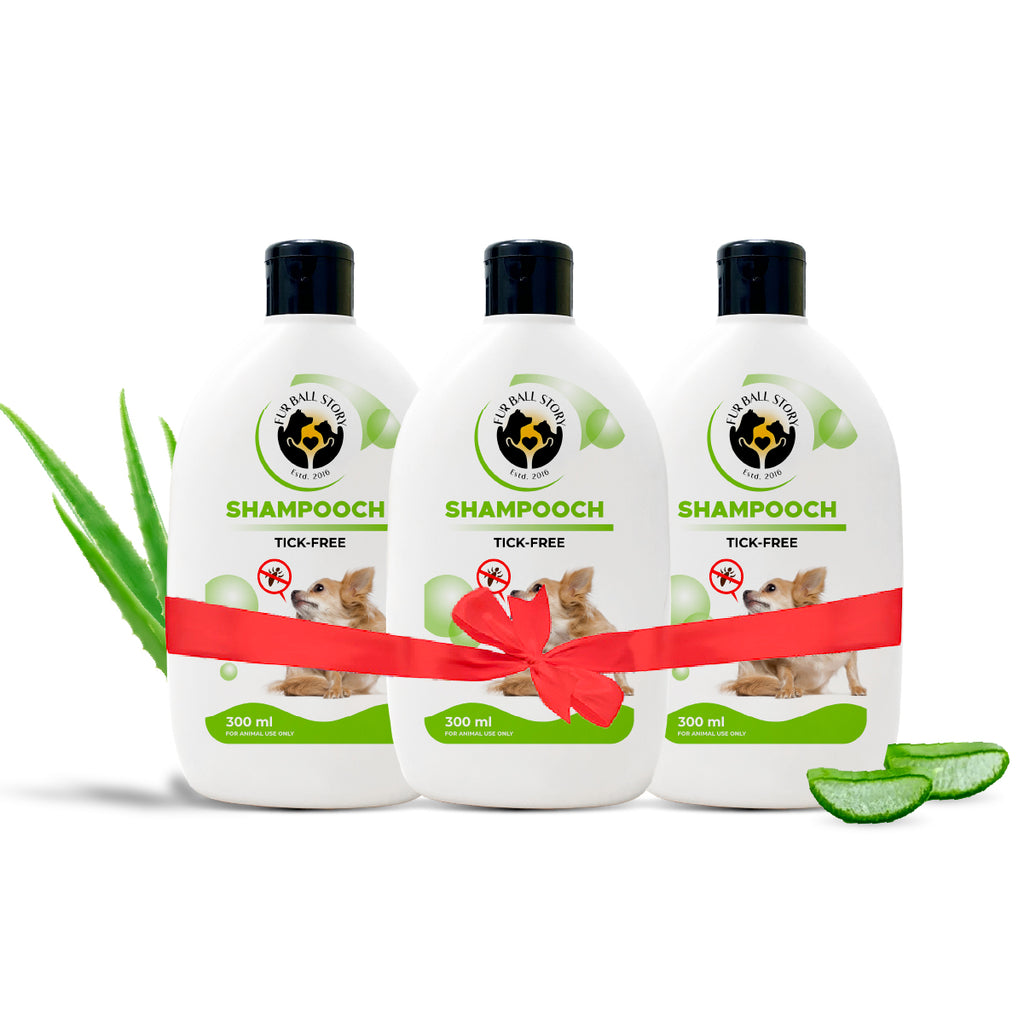 Three 300 ml bottles of Fur Ball Story Shampooch Tick-Free dog shampoo tied together with a red gift ribbon, flanked by fresh aloe vera.