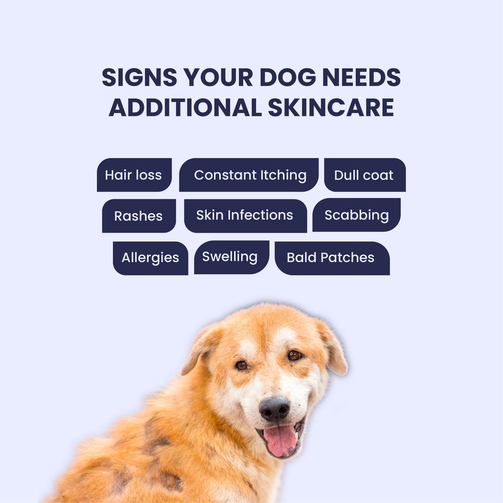 360° Skin Restoration Kit for Pets