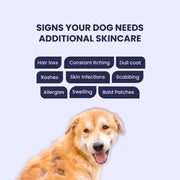 360° Skin Restoration Kit for Pets