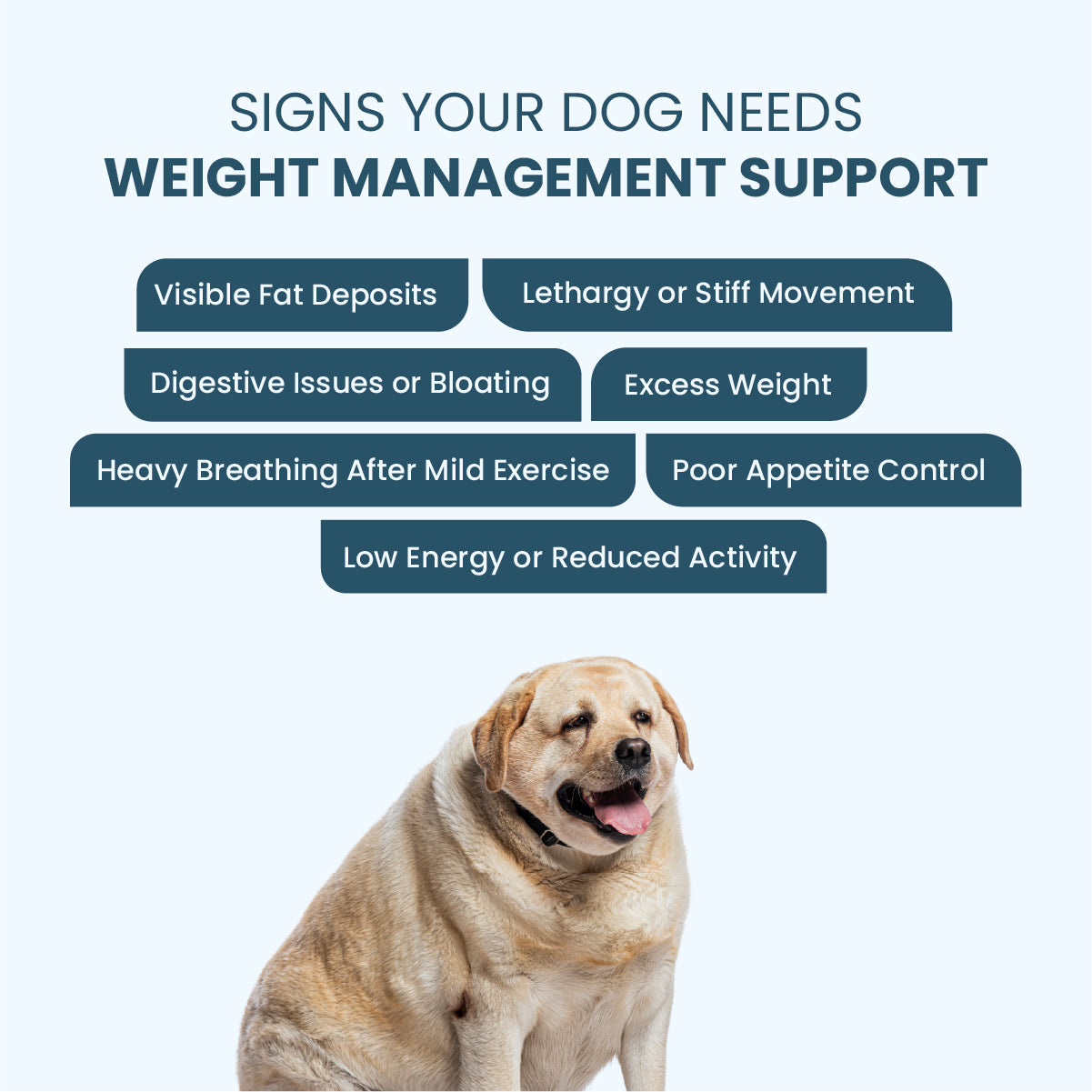 Obipet: Ayurvedic Weight Management Tablets for Dogs – 60 Tabs