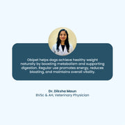 Obipet: Ayurvedic Weight Management Tablets for Dogs – 60 Tabs