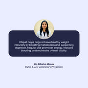 Obipet: Ayurvedic Weight Management Tablets for Dogs – 60 Tabs